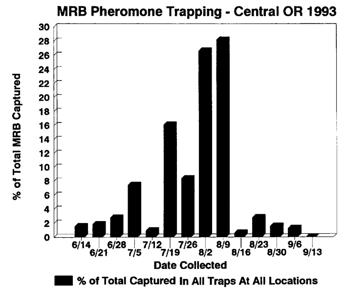 Pheromone Trapping of MRB