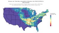 thumbs/BROT_Cum_Inf_Risk_2day_20260624.t.jpg