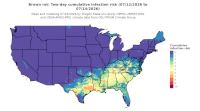 thumbs/BROT_Cum_Inf_Risk_2day_20260714.t.jpg