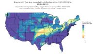thumbs/BROT_Cum_Inf_Risk_2day_20261014.t.jpg