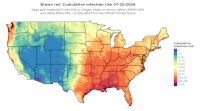 thumbs/BROT_Cum_Inf_Risk_Total_20260720.t.jpg