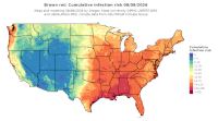thumbs/BROT_Cum_Inf_Risk_Total_20260809.t.jpg