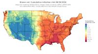 thumbs/BROT_Cum_Inf_Risk_Total_20260829.t.jpg