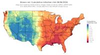 thumbs/BROT_Cum_Inf_Risk_Total_20260906.t.jpg