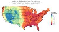 thumbs/BROT_Cum_Inf_Risk_Total_20261007.t.jpg