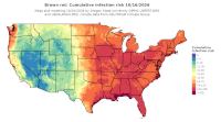 thumbs/BROT_Cum_Inf_Risk_Total_20261016.t.jpg