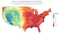 thumbs/BROT_Cum_Inf_Risk_Total_20261027.t.jpg