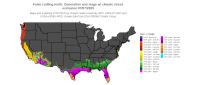 FCM_cohorts/FCM_StageCount_Excl1_20250707.png