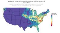 thumbs/BROT_Cum_Inf_Risk_3day_20260822.t.jpg