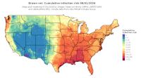 thumbs/BROT_Cum_Inf_Risk_Total_20260801.t.jpg